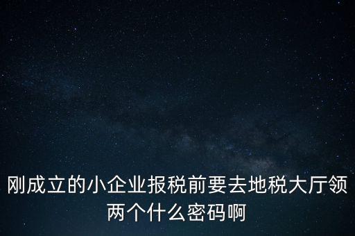 繳稅服務廳口令輸什么，剛成立的小企業(yè)報稅前要去地稅大廳領兩個什么密碼啊