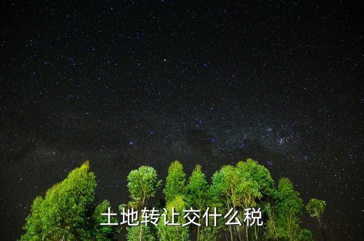 出讓土地交什么稅，土地出讓要交什么稅
