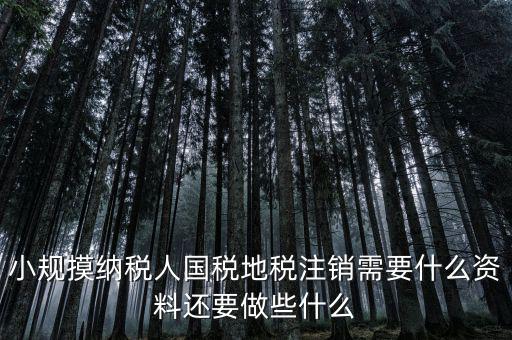 國地稅注銷需要什么，小規(guī)摸納稅人國稅地稅注銷需要什么資料還要做些什么