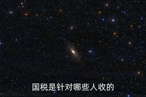 國(guó)稅都有什么人才庫(kù)，國(guó)稅有哪幾種