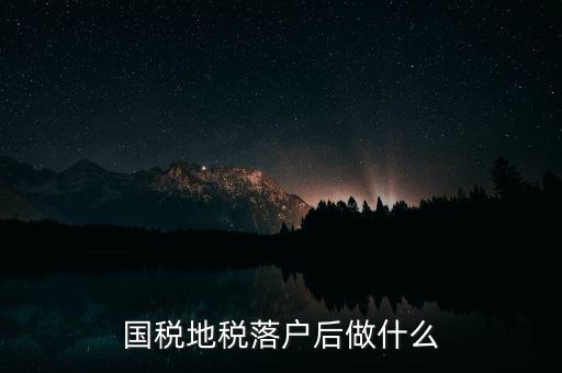 國(guó)稅地稅落戶(hù)后做什么