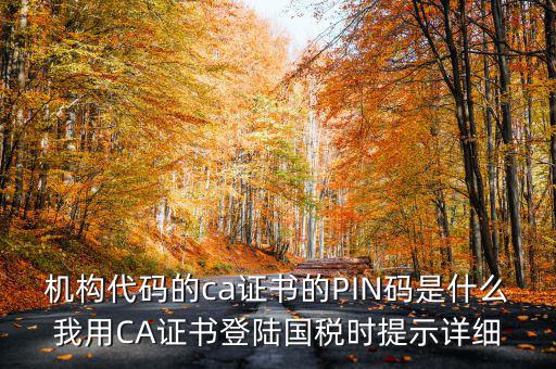 國稅ca證書登錄 密碼是什么，國稅第一次網(wǎng)上申報的登陸密碼是什么