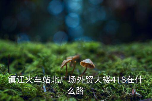 鎮(zhèn)江火車(chē)站北廣場(chǎng)外貿(mào)大樓418在什么路