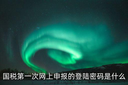 杭州國(guó)稅申報(bào)密碼是什么意思，國(guó)稅第一次網(wǎng)上申報(bào)的登陸密碼是什么