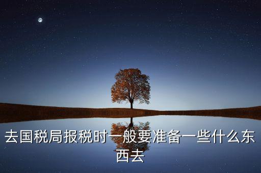 去國(guó)稅局都是帶什么東西，去國(guó)稅定稅要帶哪些東西啊我暈倒了以前從來(lái)沒(méi)定過(guò)