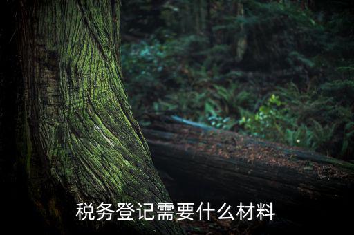 稅務辦理需要什么東西，辦理稅務登記證都需要帶什么東西