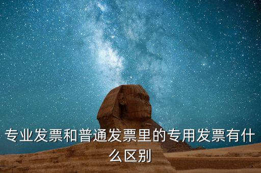專(zhuān)業(yè)發(fā)票和普通發(fā)票里的專(zhuān)用發(fā)票有什么區(qū)別