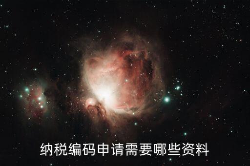 預約繳稅號需提供什么資料，納稅編碼申請需要哪些資料