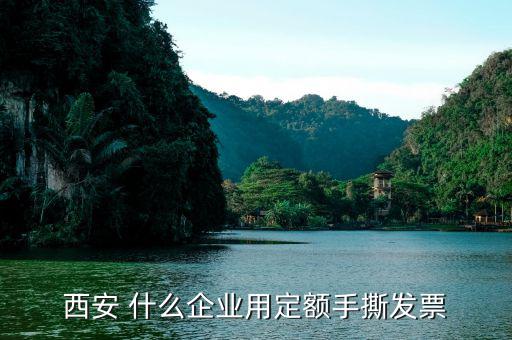 陜西省用什么定額發(fā)票，西安 什么企業(yè)用定額手撕發(fā)票