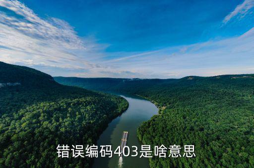 稅收分類編碼錯誤的是什么意思，錯誤編碼403是啥意思