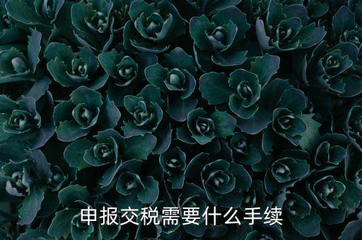 辦理稅務(wù)需要什么手續(xù)，稅務(wù)登記 代辦需要什么手續(xù)