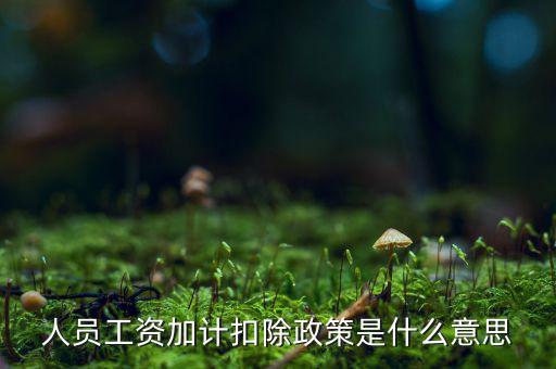 加計(jì)扣除有什么條件，人員工資加計(jì)扣除政策是什么意思