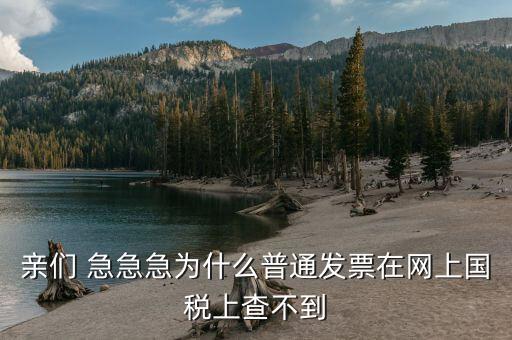 為什么發(fā)票在國稅網(wǎng)，親們 急急急為什么普通發(fā)票在網(wǎng)上國稅上查不到