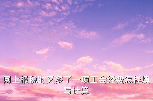 網(wǎng)上報稅時又多了一項工會經(jīng)費(fèi)怎樣填寫計算