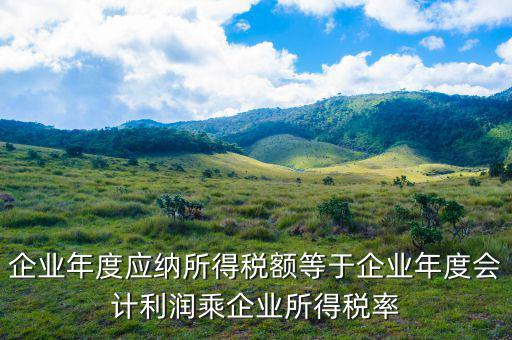 應(yīng)納稅所得額等于什么，什么是應(yīng)納稅所得額