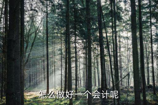 怎么做好一個會計(jì)呢