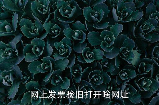 山東省網(wǎng)絡(luò)開票網(wǎng)址是什么，網(wǎng)上發(fā)票驗舊打開啥網(wǎng)址