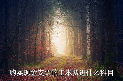 發(fā)票工本費(fèi)什么科，買支票的工本費(fèi)和手續(xù)費(fèi)分別進(jìn)什么科目