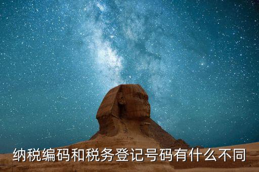 納稅編碼和稅務登記號碼有什么不同