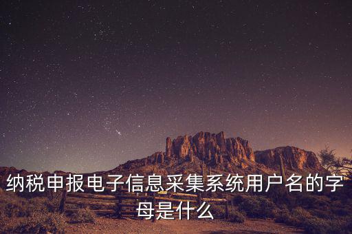 納稅人用戶編號是什么，地稅的用戶名是什么