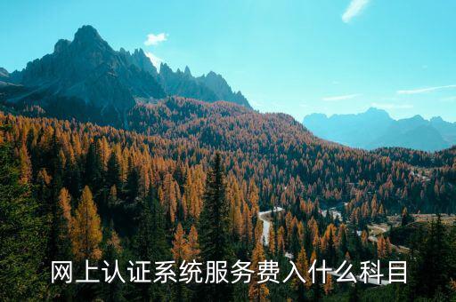 網(wǎng)上認(rèn)證服務(wù)費(fèi)是什么，網(wǎng)上認(rèn)證系統(tǒng)服務(wù)費(fèi)入什么科目