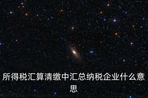 什么匯總納稅企業(yè)所得稅，關(guān)于企業(yè)所得稅匯總繳納