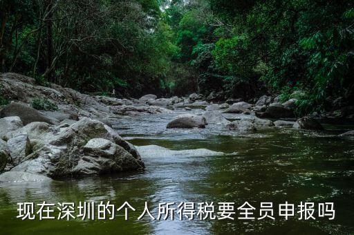 深圳為什么要個稅申報，外地企業(yè)如何在深圳為什么還要繳納個人所得稅1