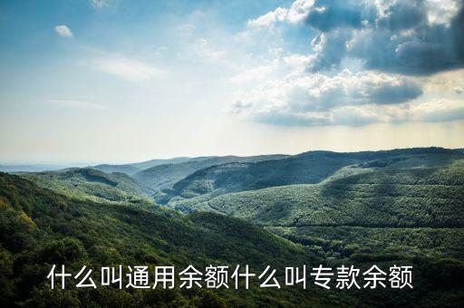 通用余額 專用余額是什么意思，專用余額啥意思