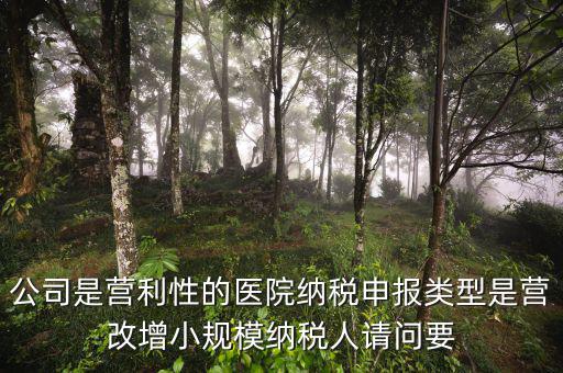 營改增醫(yī)院用什么發(fā)票，營改增認定的一般納稅人使用什么發(fā)票