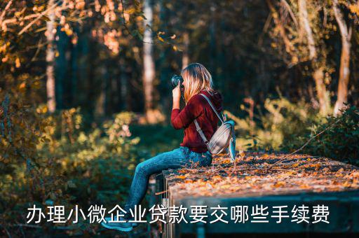 貴陽市小微企業(yè)申請(qǐng)要交什么，申請(qǐng)小微企業(yè)需要什么