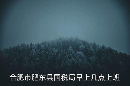安徽國稅什么時候上班時間，國稅局的上班時間