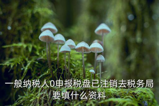 注銷金稅盤需要帶什么資料，請問注銷稅務(wù)登記需要提供哪些資料