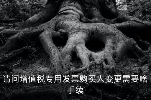 請(qǐng)問增值稅專用發(fā)票購買人變更需要啥手續(xù)