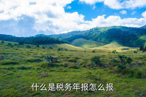 稅務局年報指報什么稅，我想知道稅務上年底所得稅年報指的是什么是不是季度那個表呀