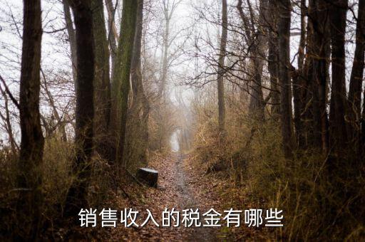 銷售交什么稅，銷售收入的稅金有哪些