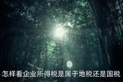 所得稅屬于什么稅，所得稅包括什么稅