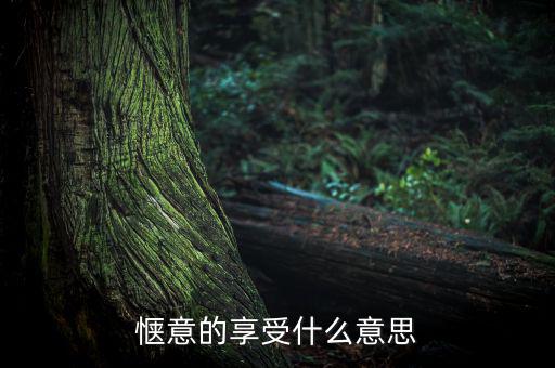 應(yīng)享盡享什么意思，愜意的享受什么意思