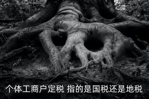 個(gè)體戶定稅是什么意思，疑難國(guó)稅個(gè)體戶定稅