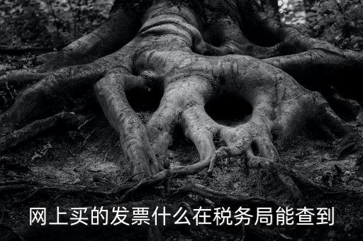 網(wǎng)上查發(fā)票能查到什么內(nèi)容，網(wǎng)上買的發(fā)票什么在稅務(wù)局能查到