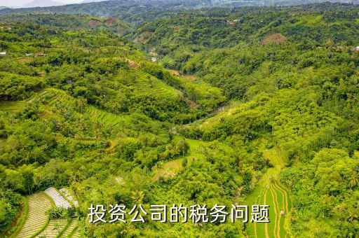 投資公司需要交什么稅，投資公司修建寺院需要上稅嗎上什么稅種
