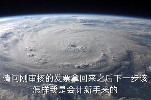 發(fā)票核定完之后接下來做什么，請(qǐng)問剛審核的發(fā)票拿回來之后下一步該怎樣我是會(huì)計(jì)新手來的