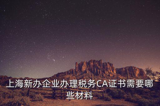 2014年7月份上海稅務(wù)局還需要審什么證，上海新辦企業(yè)辦理稅務(wù)CA證書(shū)需要哪些材料