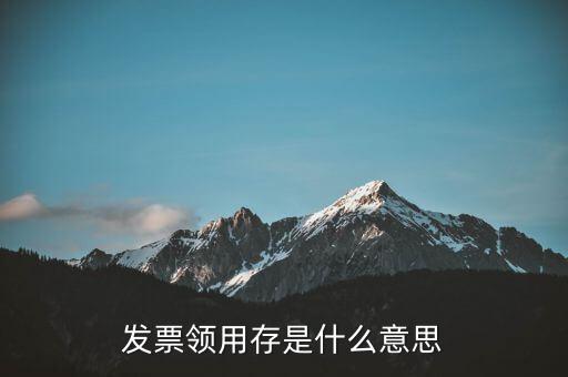 發(fā)票領(lǐng)用信息是什么，發(fā)票領(lǐng)用存是什么意思