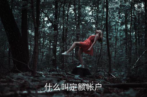 國稅的定期定額戶是什么意思，國稅買票需要定稅或建賬是什么意思