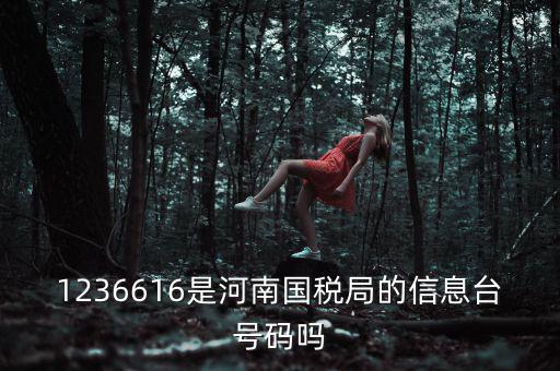 河南省國(guó)家稅務(wù)局賬號(hào)是什么，登錄國(guó)稅網(wǎng)上辦稅服務(wù)廳的用戶名和密碼是什么