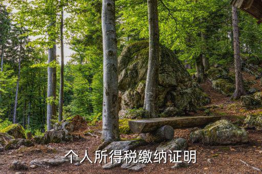 個(gè)人稅務(wù)證明是什么，什么是個(gè)人納稅證明