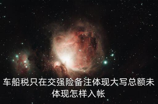 車船稅只在交強(qiáng)險(xiǎn)備注體現(xiàn)大寫總額未體現(xiàn)怎樣入帳