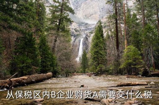 從保稅區(qū)內B企業(yè)購貨A需要交什么稅