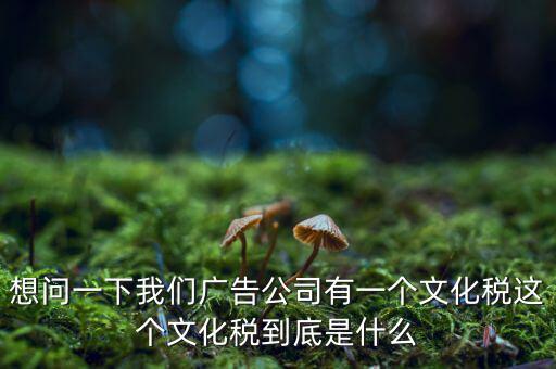 什么是稅務(wù)文化，和諧地稅文化的內(nèi)涵應(yīng)包括哪些方面