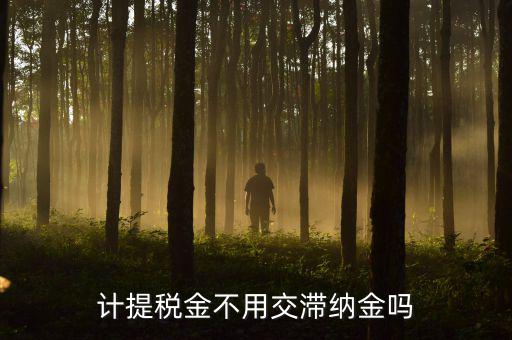 什么稅沒有滯納金，各種稅的滯納金一樣么